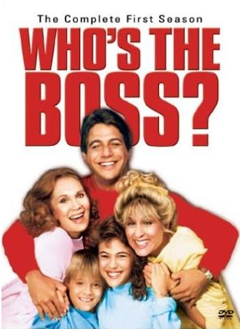 Wer ist hier der Boss - Staffel 1 - 8 (DVDRip)