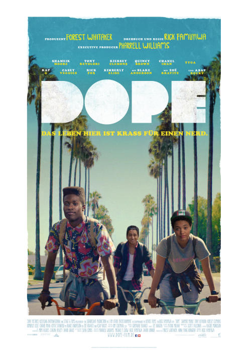 Dope (BDRip.x264)